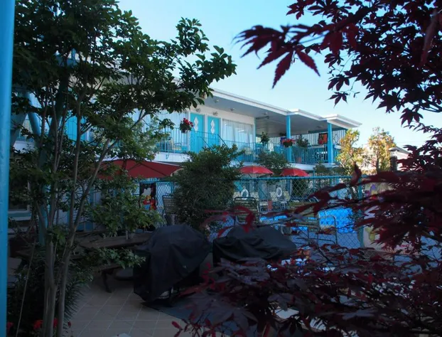 Suitcase Motel & Travel hotel detail image 2