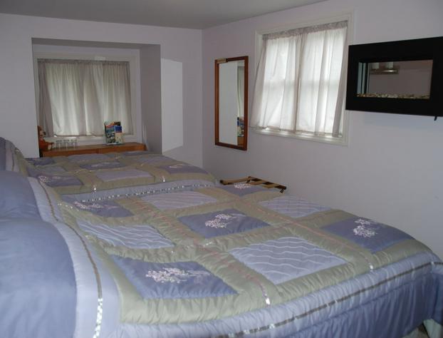 Teddy Bear Bed & Breakfast hotel detail image 4