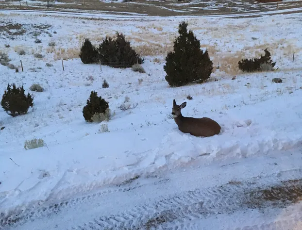 Fish Creek House Bed & Breakfast hotel detail image 4