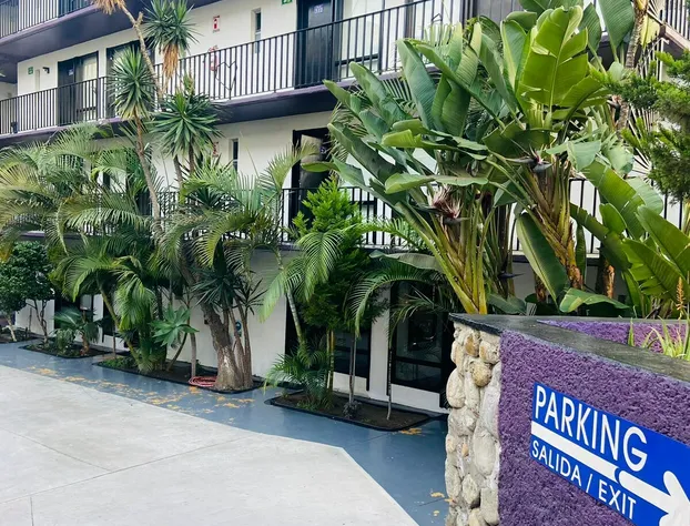 Hotel Suites Royal hotel detail image 2