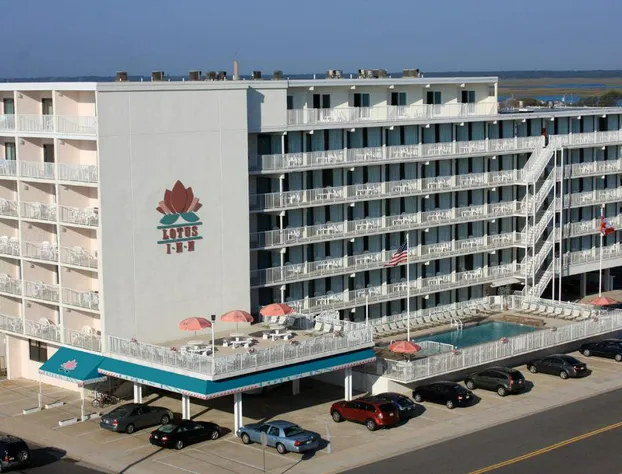 Lotus Inn hotel detail image 2