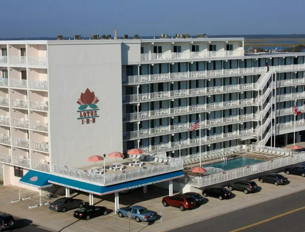 Lotus Inn hotel detail image 1