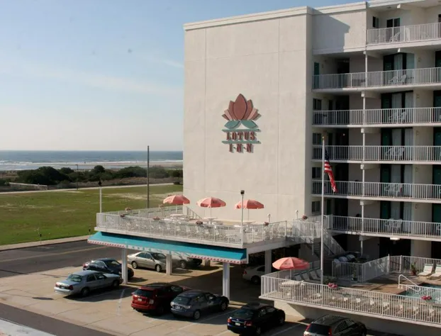 Lotus Inn hotel detail image 2