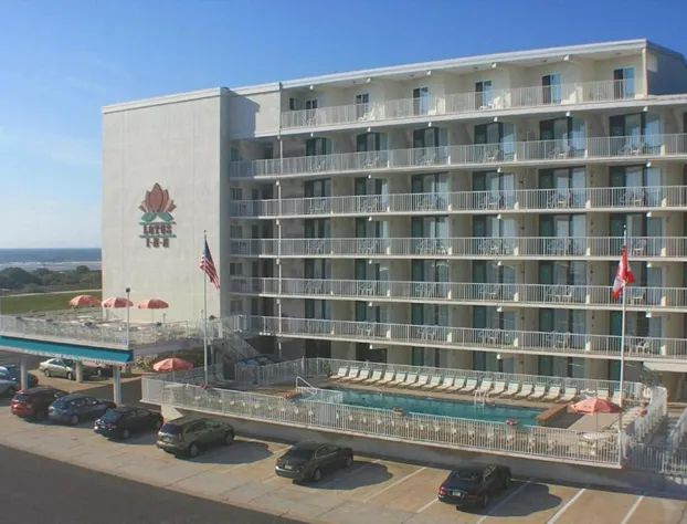 Lotus Inn hotel detail image 1