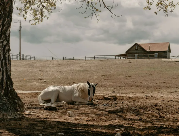 TA Ranch hotel detail image 1