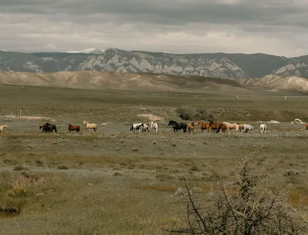 TA Ranch hotel detail image 2