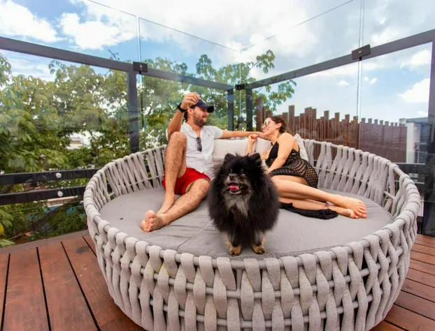 Serenity Hotel Boutique by Alsol hotel detail image 1