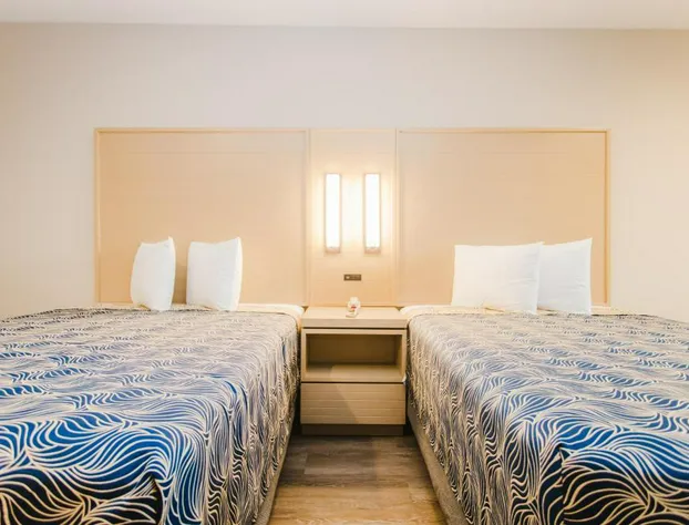 Palace Inn Blue Federal Road hotel detail image 3