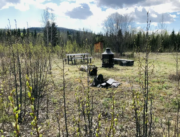 Wrangell Mountain Lodge hotel detail image 4