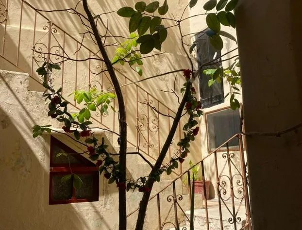 Hotel Margarita hotel detail image 4