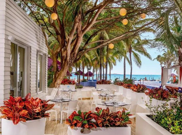 The Sens Cancun By Oasis hotel detail image 4