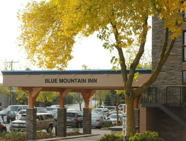 Blue Mountain Resort Inn hotel detail image 2