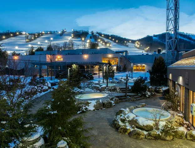 Blue Mountain Resort Inn hotel detail image 3