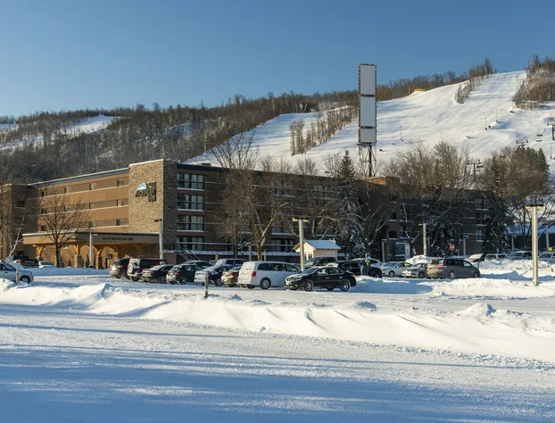 Blue Mountain Resort Inn hotel detail image 4