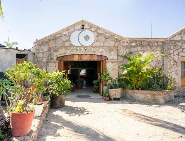 Collection O Hotel Monte Agave hotel detail image 3