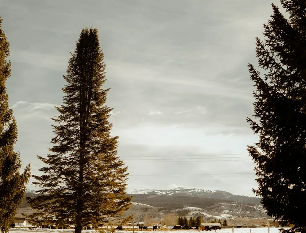 Teton Valley Resort hotel detail image 3