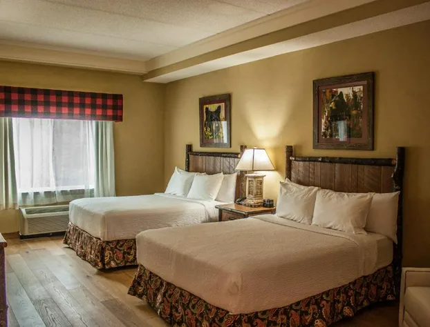 The Appy Lodge hotel detail image 2