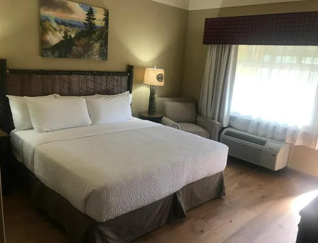 The Appy Lodge hotel detail image 3