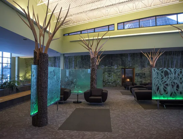 Lakeview Hecla Resort hotel detail image 3