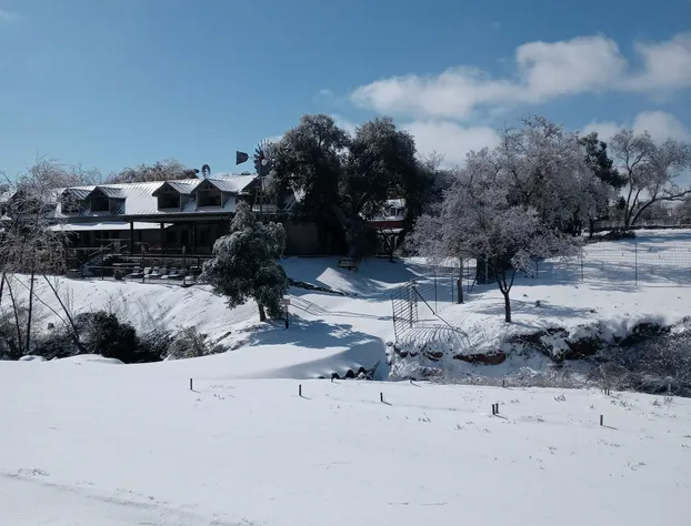 The Winchester Lodge hotel detail image 2