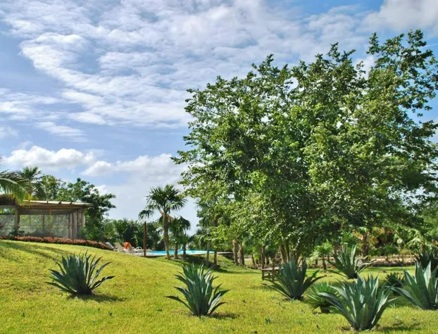 El Chital hotel detail image 4