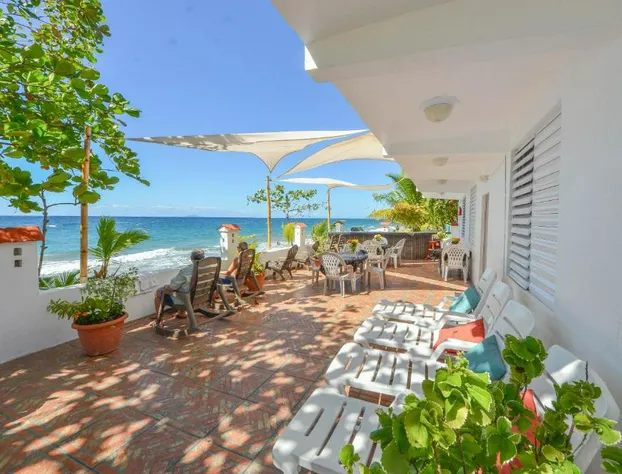 Coconut Palms Inn On The Beach hotel detail image 4