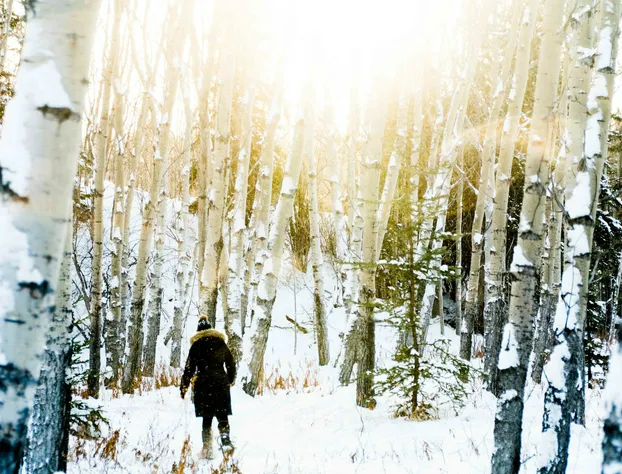 Boréale Ranch hotel detail image 3
