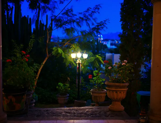 Casa Bugambilias Hotel Boutique hotel detail image 3