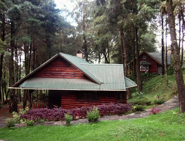 Cabañas El Rincón de Pancho hotel detail image 3