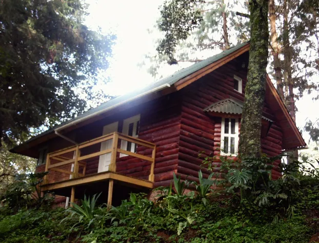 Cabañas El Rincón de Pancho hotel detail image 4