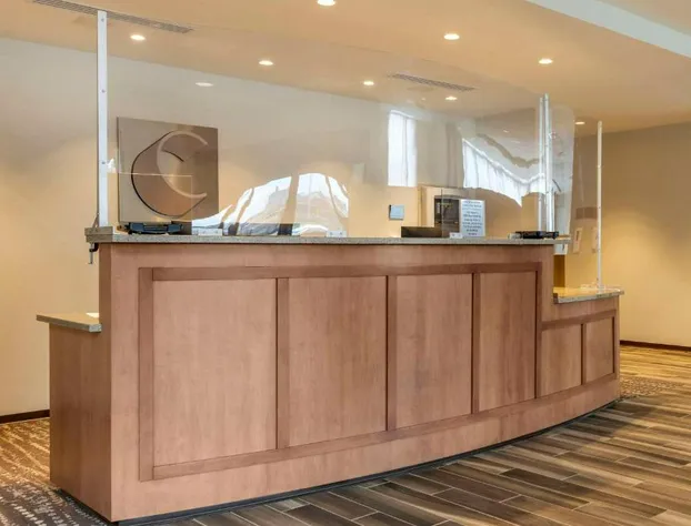 Comfort Inn & Suites Pittsburgh-Northshore hotel detail image 2