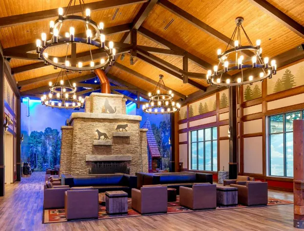 Great Wolf Lodge Illinois hotel detail image 4