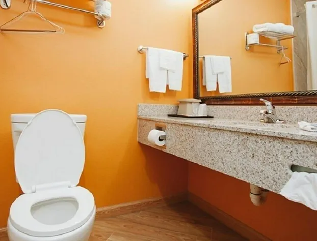 Palace Inn hotel detail image 4