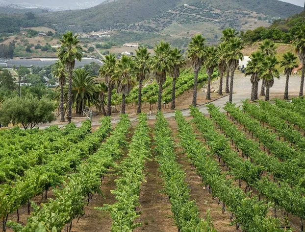 Sunshine Mountain Bed and Breakfast hotel detail image 3