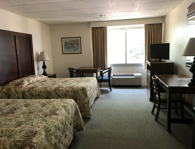 Belmar Motor Lodge hotel detail image 4