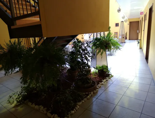 Hotel J&E by Serranillo hotel detail image 4