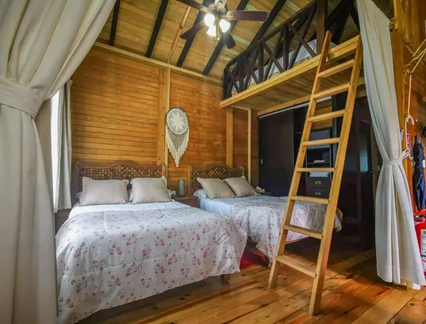 Alicat Villas hotel detail image 1