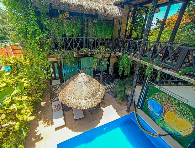 Alicat Villas hotel detail image 1