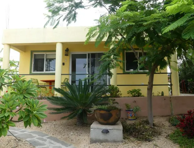 Casa Flores Casitas hotel detail image 4