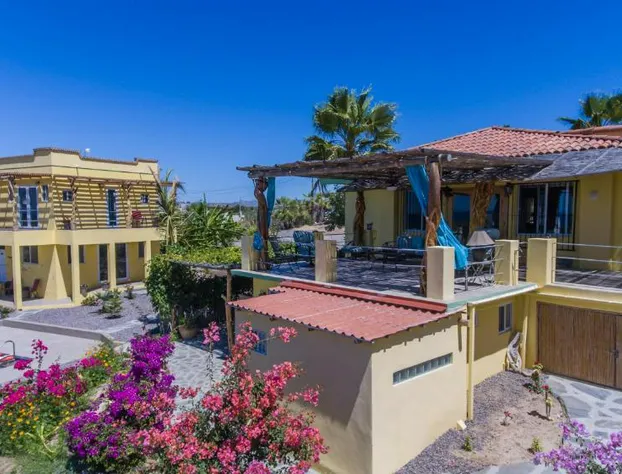 Casa Flores Casitas hotel detail image 2