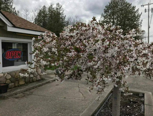 Cedar Ridge Cabins hotel detail image 3