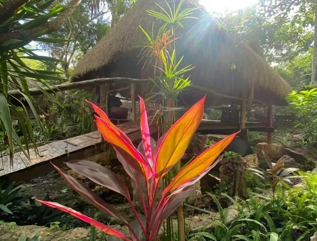 Corazón de Selva hotel detail image 2