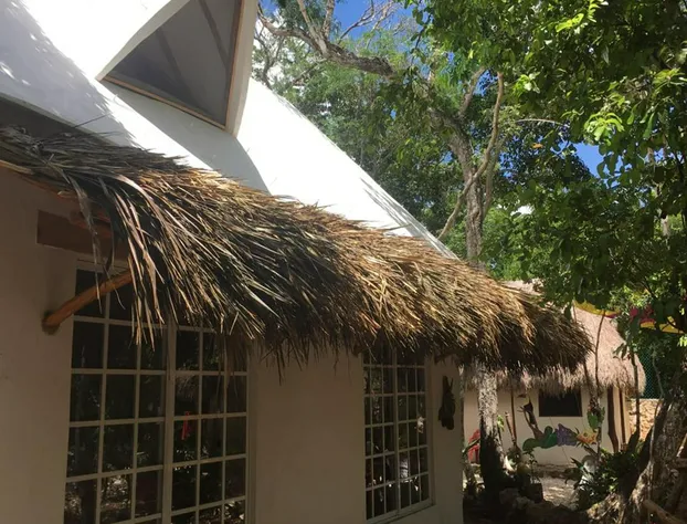 Corazón de Selva hotel detail image 3