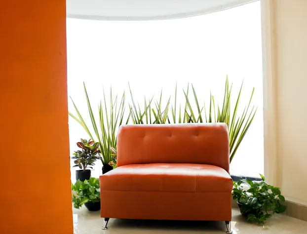 Hotel Reforma hotel detail image 2