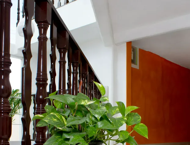 Hotel Reforma hotel detail image 4