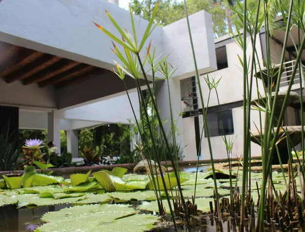 Los Laureles Hotel & Centro de Convenciones hotel detail image 3