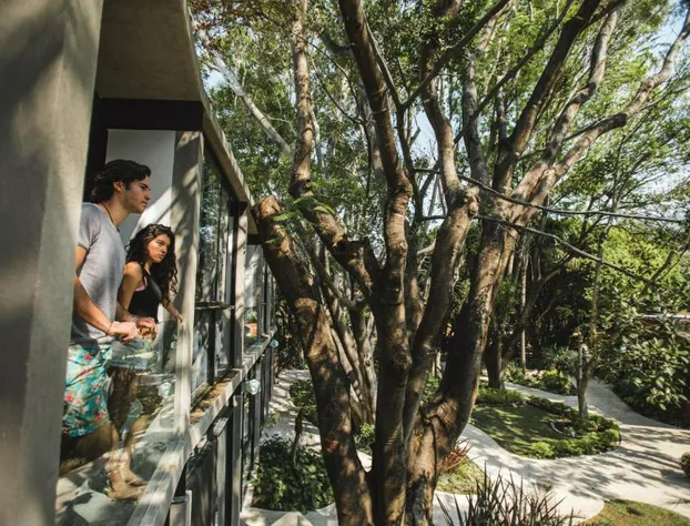 Los Laureles Hotel & Centro de Convenciones hotel detail image 4