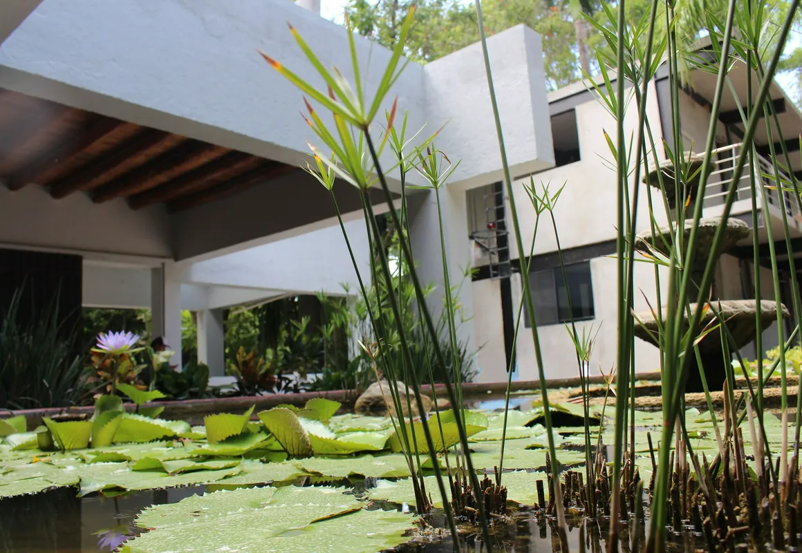 Los Laureles Hotel & Centro de Convenciones hotel hero