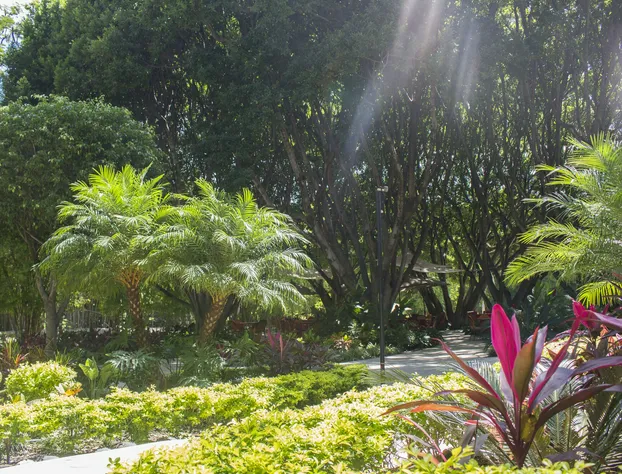 Los Laureles Hotel & Centro de Convenciones hotel detail image 1