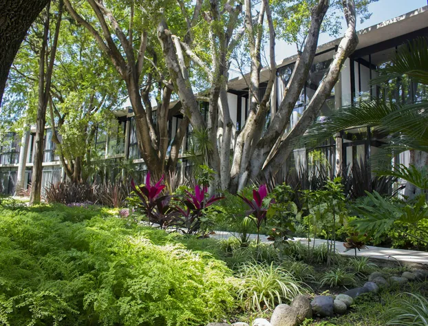 Los Laureles Hotel & Centro de Convenciones hotel detail image 3